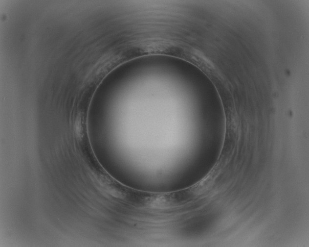 X0000076240074200610051206