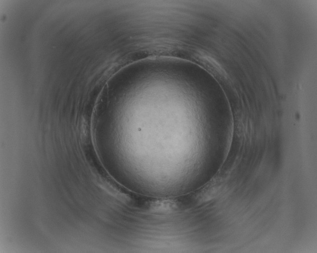 X0000076240077200610051206