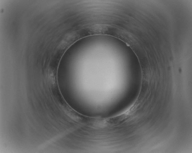 X0000076240086200610051206