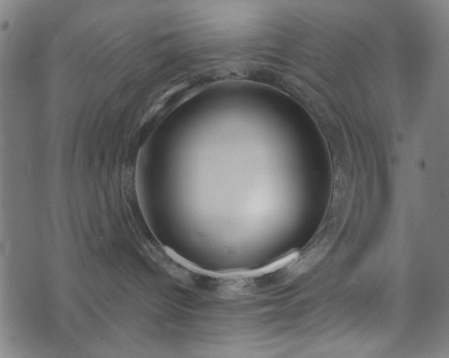 X0000076240096200610051206