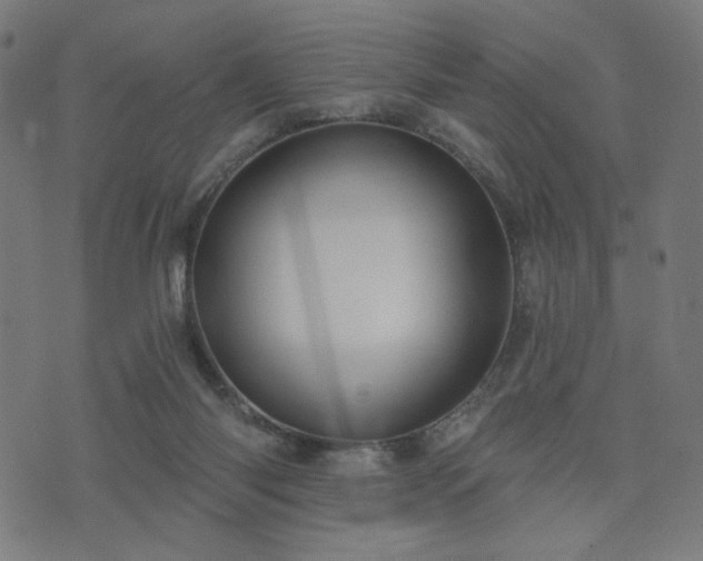 X0000076240118200610051205