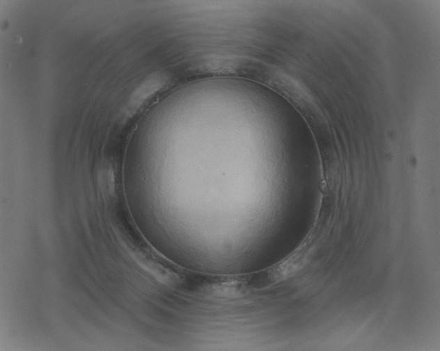 X0000076240120200610051205