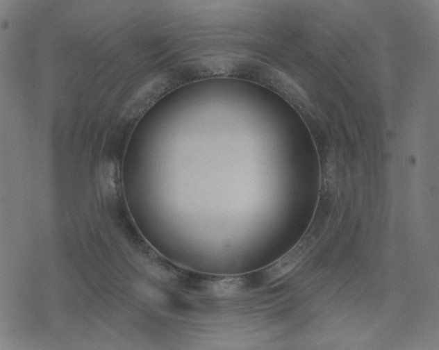 X0000076240122200610051205