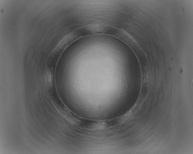 X0000076240124200610051205