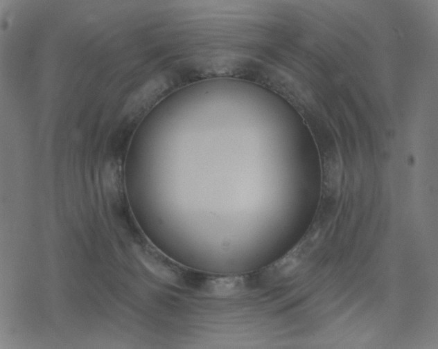 X0000076240126200610051205