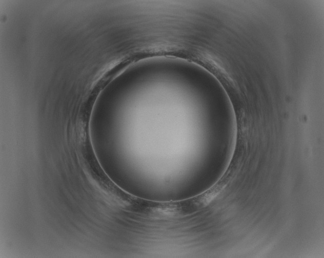 X0000076240164200610051204