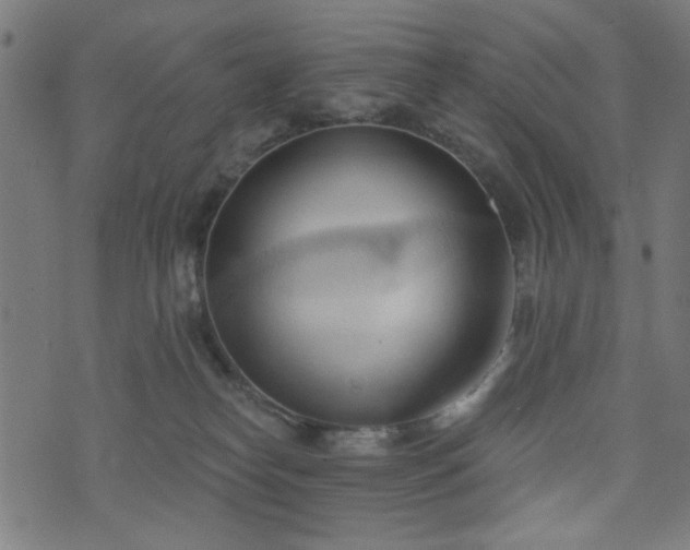 X0000076240182200610051204