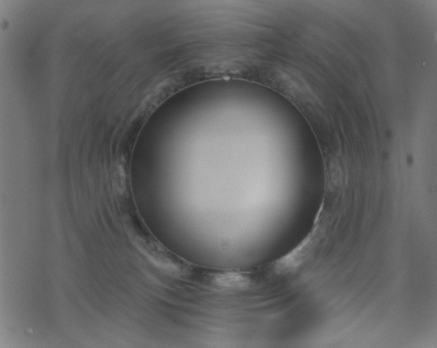 X0000076240183200610051204