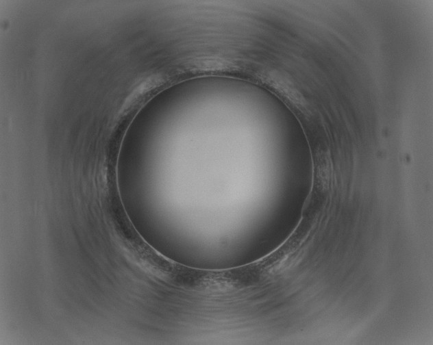X0000076240207200610051203