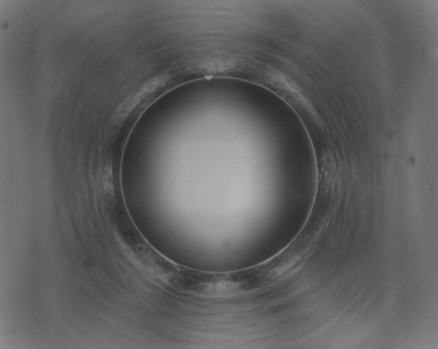 X0000076240212200610051203
