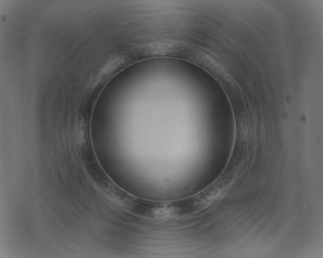 X0000076240216200610051203
