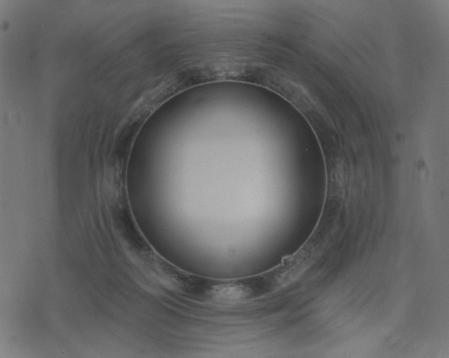 X0000076240218200610051203