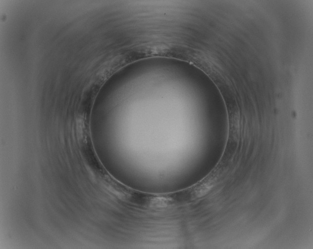 X0000076240222200610051203