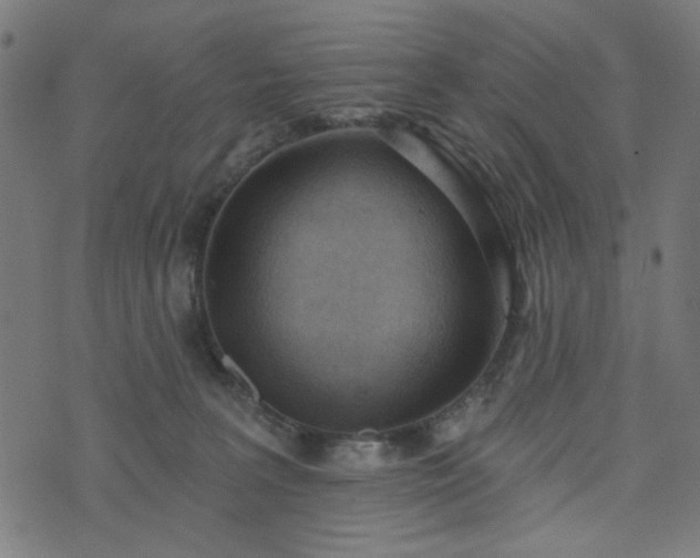X0000076240227200610051203