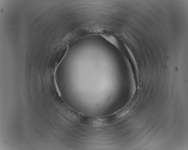 X0000076240229200610051203