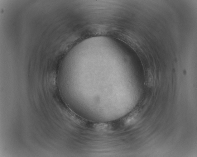 X0000076240230200610051203