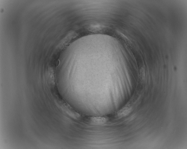 X0000076240234200610051203