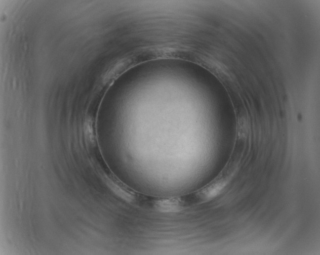 X0000076240238200610051203