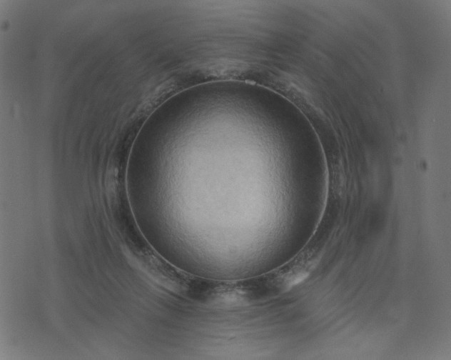 X0000076240263200610051202
