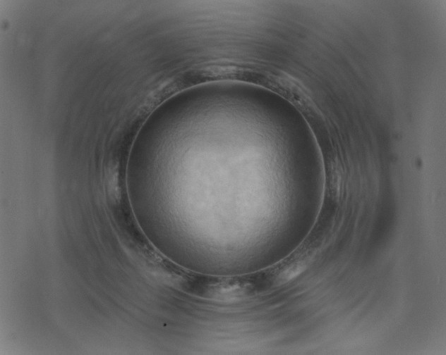 X0000076240267200610051202