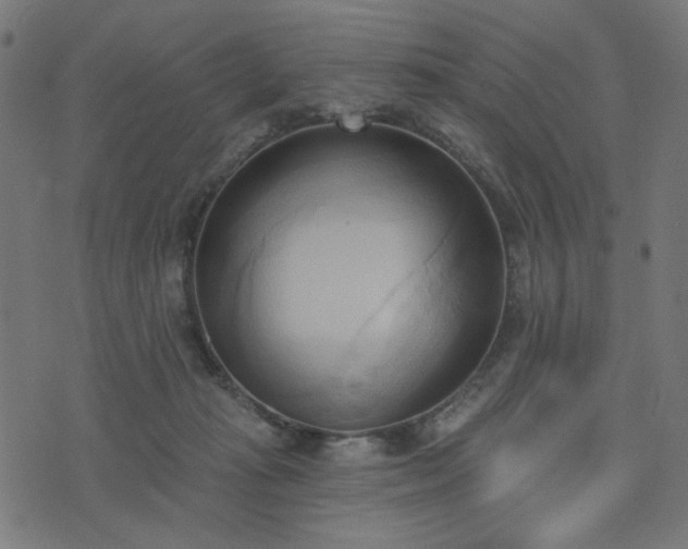 X0000076240269200610051202