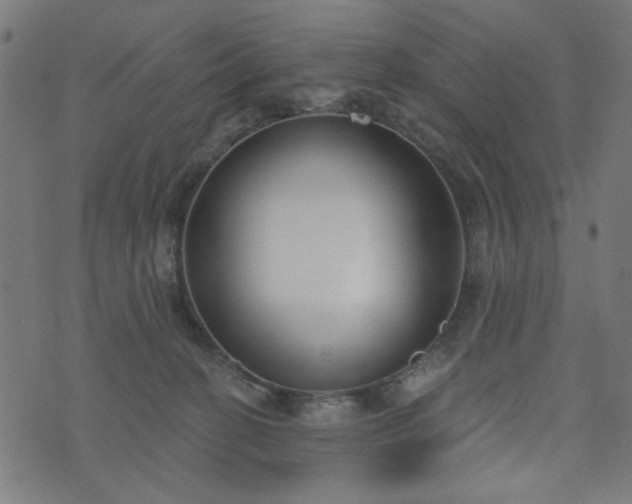 X0000076240274200610051203