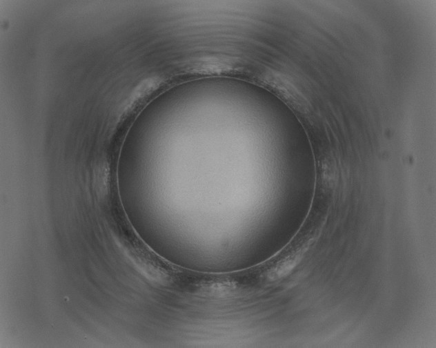 X0000076240304200610051202