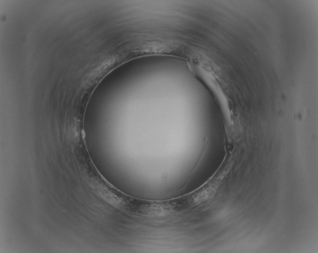 X0000076240305200610051202