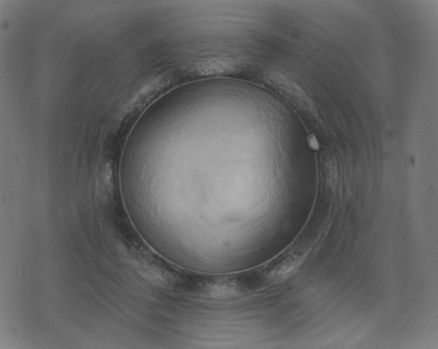 X0000076240308200610051202