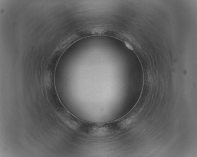 X0000076240311200610051202
