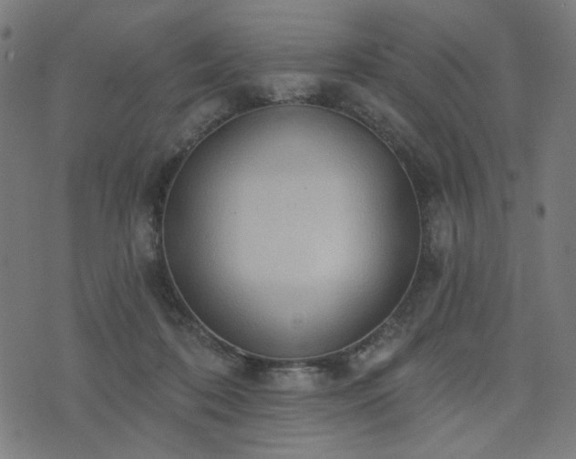 X0000076240316200610051202