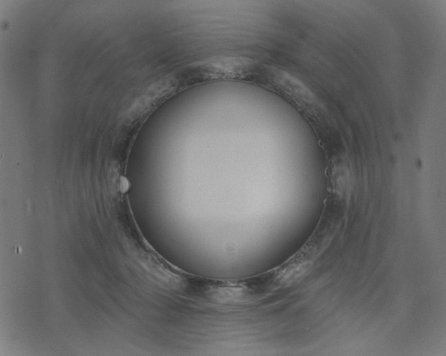 X0000076240318200610051202