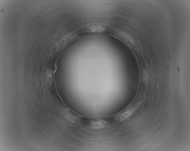X0000076240321200610051201