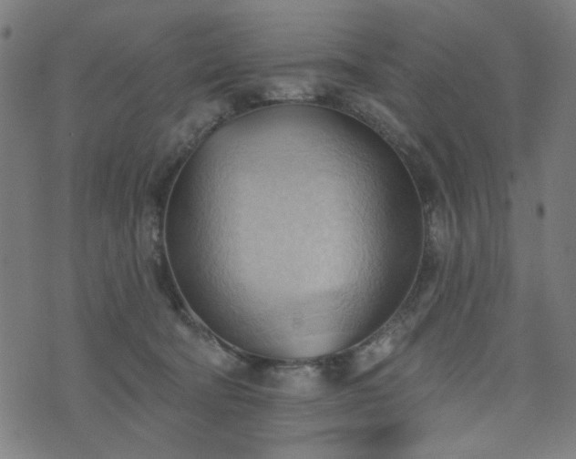 X0000076240322200610051201