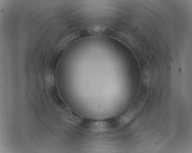 X0000076240324200610051201