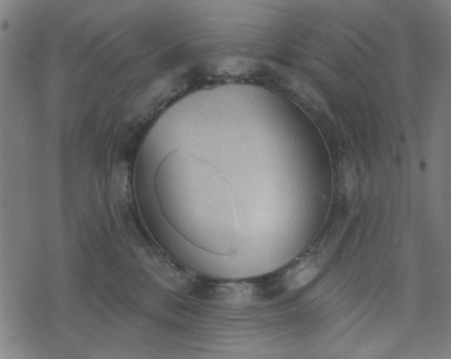 X0000076240328200610051201