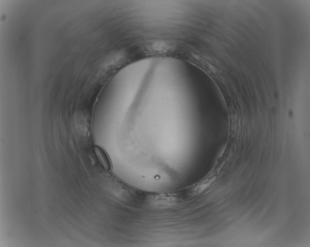 X0000076240331200610051201