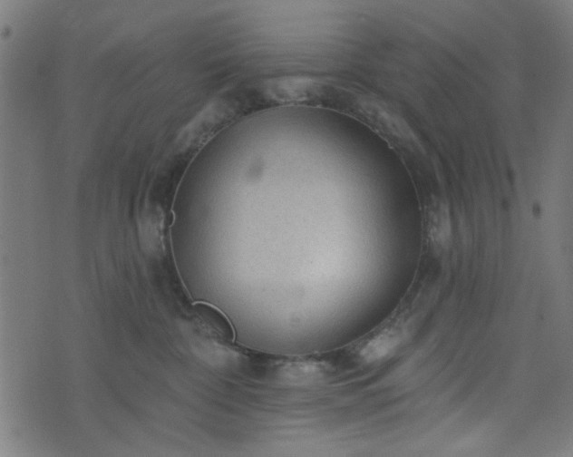 X0000076240332200610051201