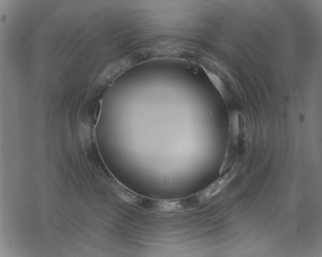 X0000076240333200610051201