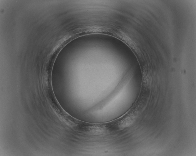 X0000076240347200610051201