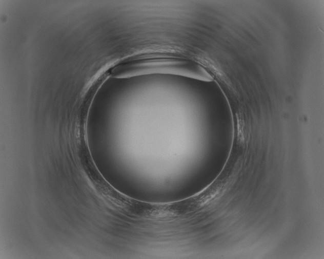 X0000076240348200610051201