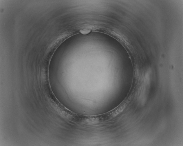 X0000076240353200610051201