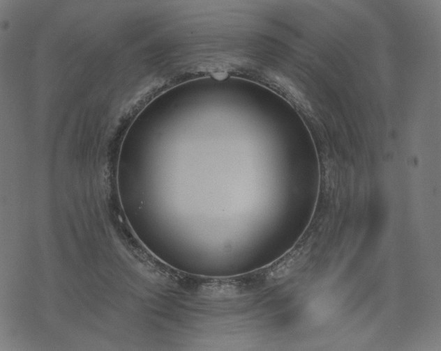 X0000076240354200610051201