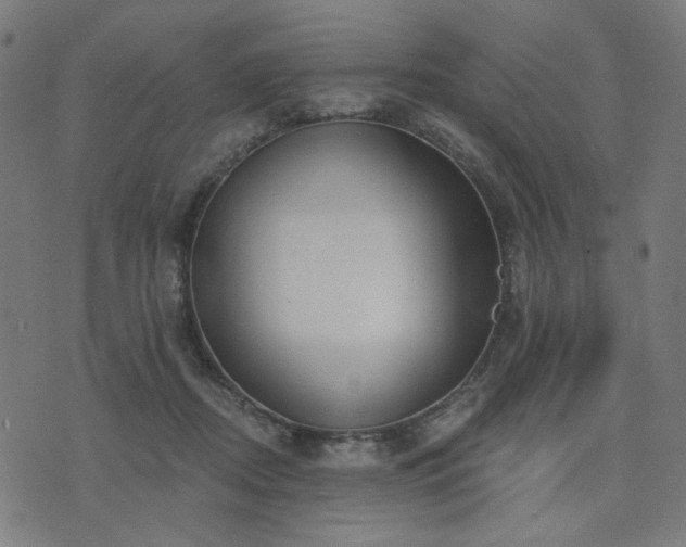 X0000076240362200610051201