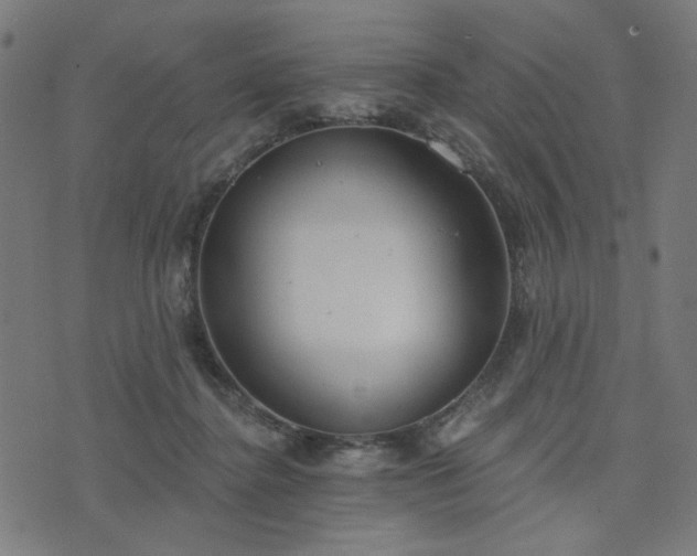 X0000076240364200610051201