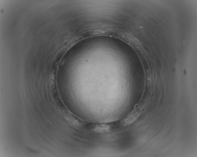 X0000076240369200610051201