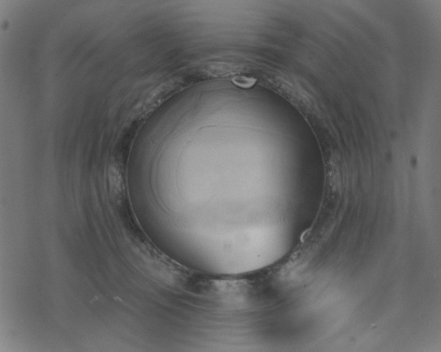 X0000076240371200610051201