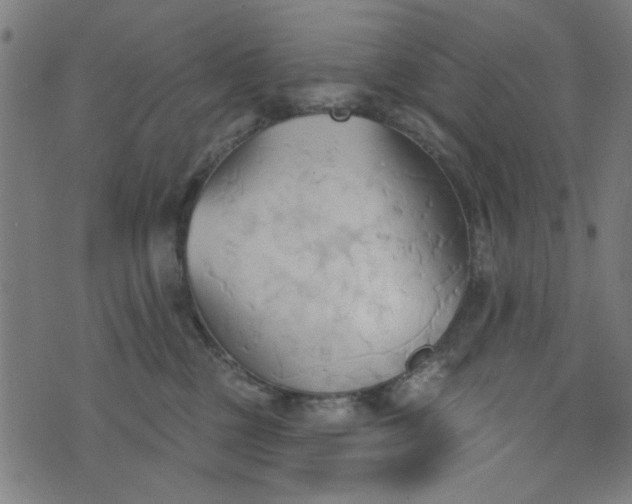X0000076240377200610051201