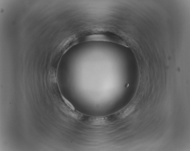 X0000076240384200610051201