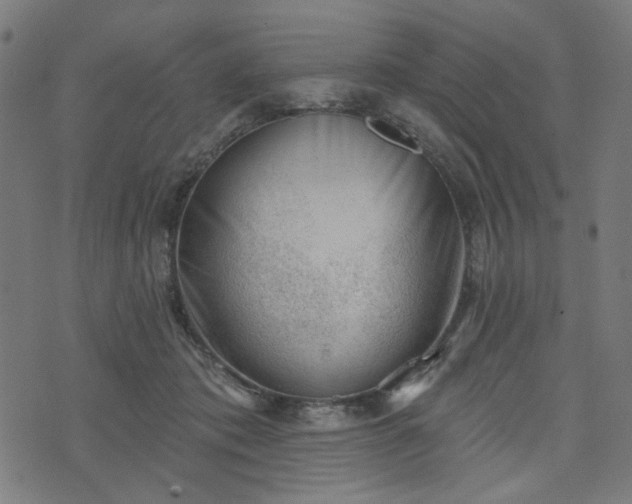 X0000076240413200610051200